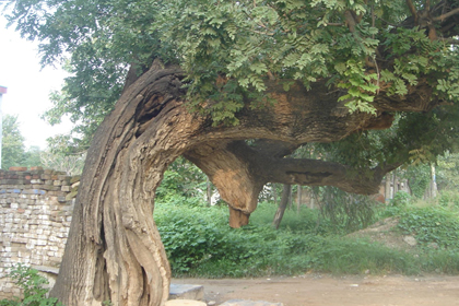 五行缺土的人如何才能發財